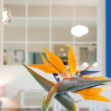 Apartment Blue Iris: Stylish Just 10 Minutes Walk From Old Town Chania Chania (Crete)